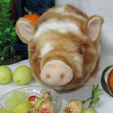 Свинья в апельсинах