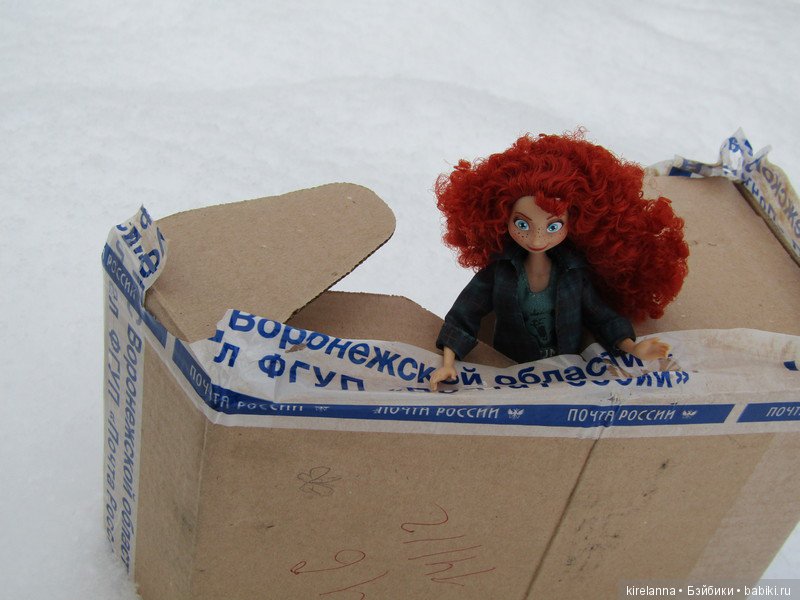 Не успели приехать, уже попали в историю (фото 5)