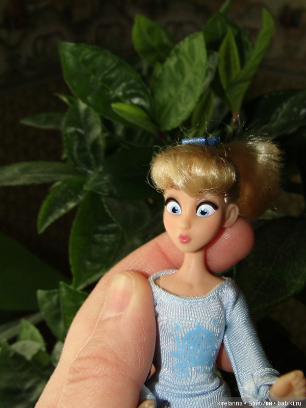 Не успели приехать, уже попали в историю