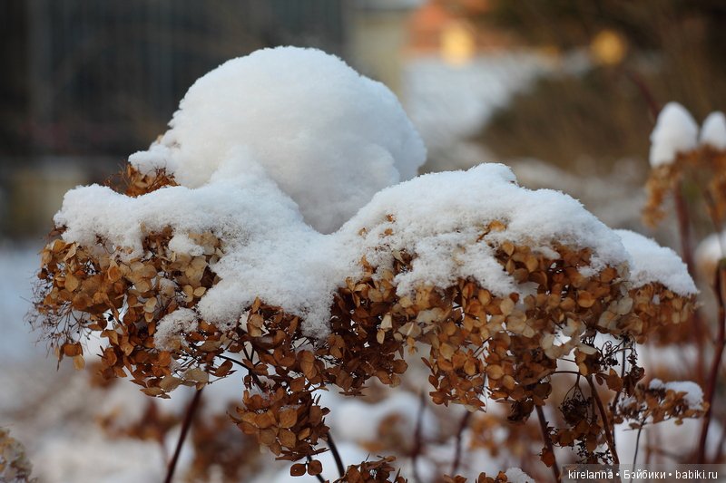 Город, которого нет на карте. Истинное лицо, часть 2 (фото 9)