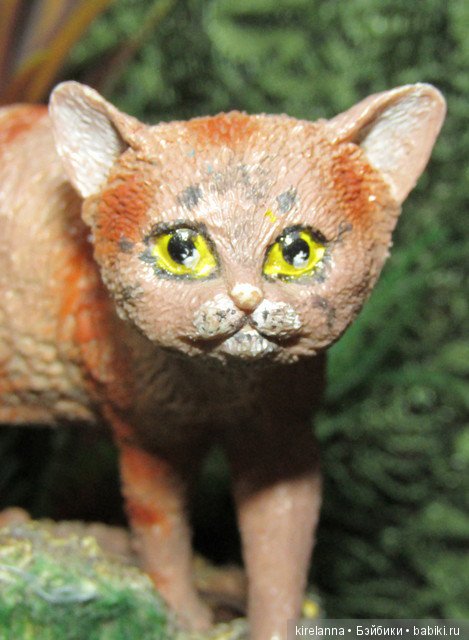 Байки домового. Папоротниковый лес - часть 1