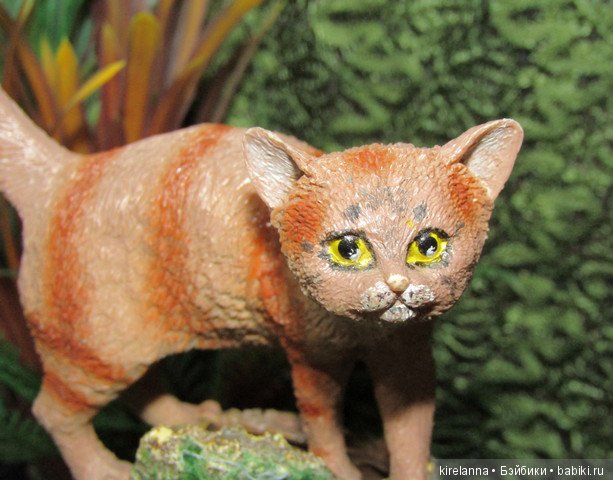 Байки домового. Папоротниковый лес - часть 1