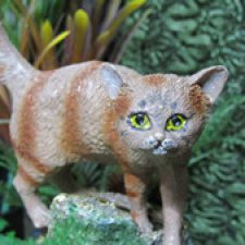 Байки домового. Папоротниковый лес - часть 1