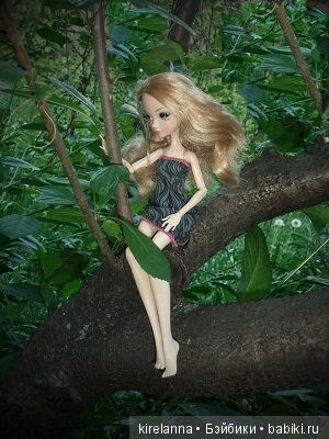 Байки домового. Папоротниковый лес - часть 2