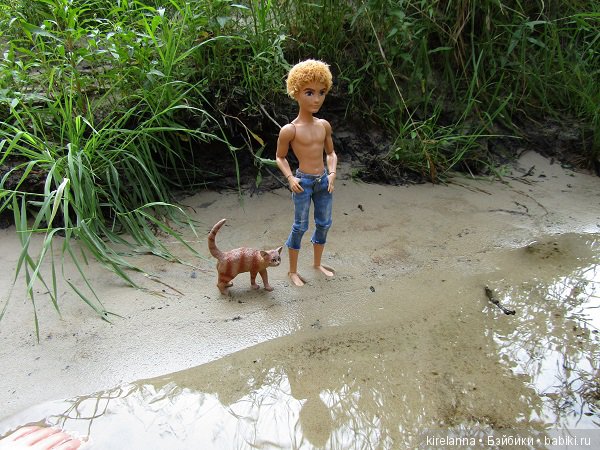 Байки домового. Папоротниковый лес - часть 2