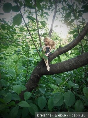 Байки домового. Папоротниковый лес - часть 2