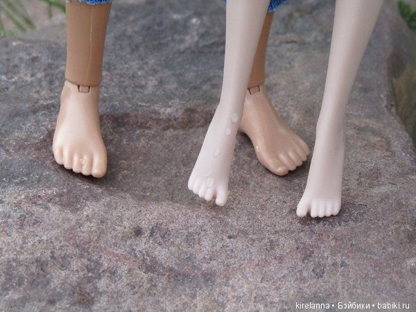 Байки домового. Папоротниковый лес - часть 2