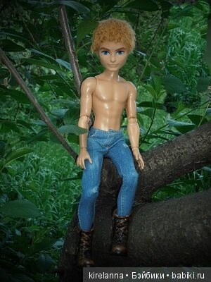 Байки домового. Папоротниковый лес - часть 2