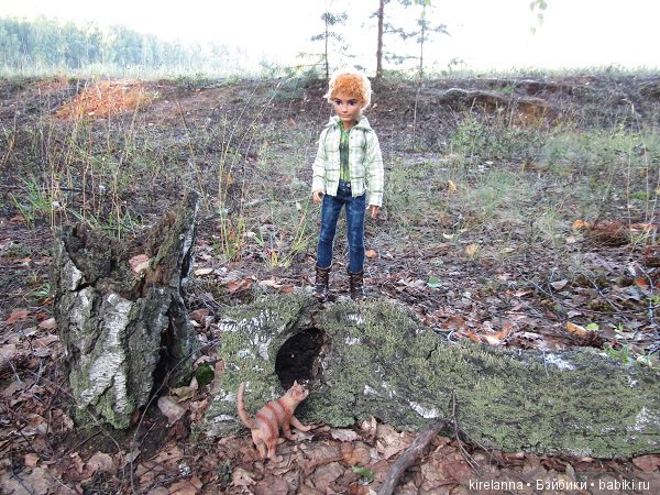 Байки домового. Папоротниковый лес - часть 2