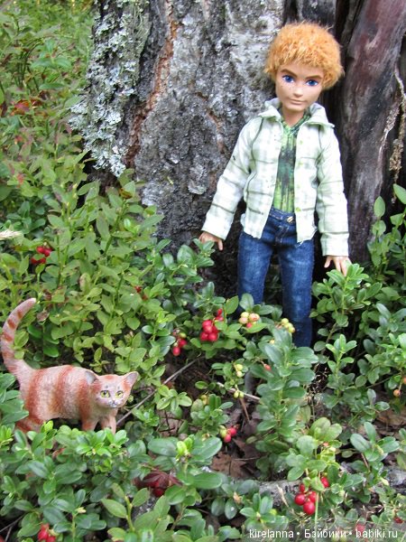 Байки домового. Папоротниковый лес - часть 3 (фото 3)