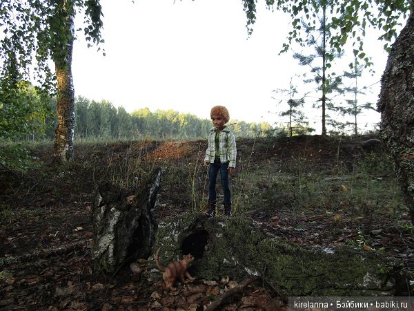 Байки домового. Папоротниковый лес - часть 3