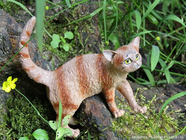 Байки домового. Папоротниковый лес - часть 3