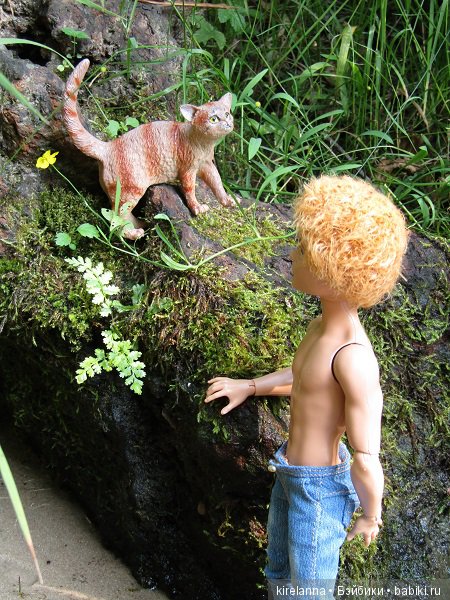 Байки домового. Папоротниковый лес - часть 3 (фото 10)