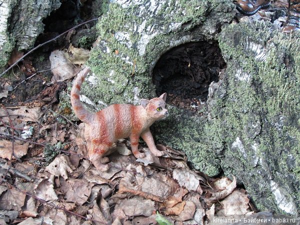 Байки домового. Папоротниковый лес - часть 3 (фото 2)