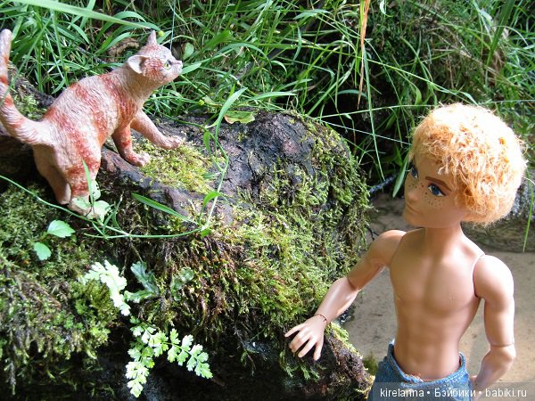 Байки домового. Папоротниковый лес - часть 3 (фото 9)