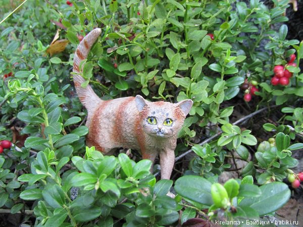 Байки домового. Папоротниковый лес - часть 3 (фото 4)