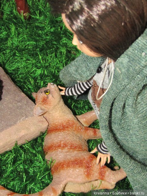 Байки домового. Папоротниковый лес - часть 3