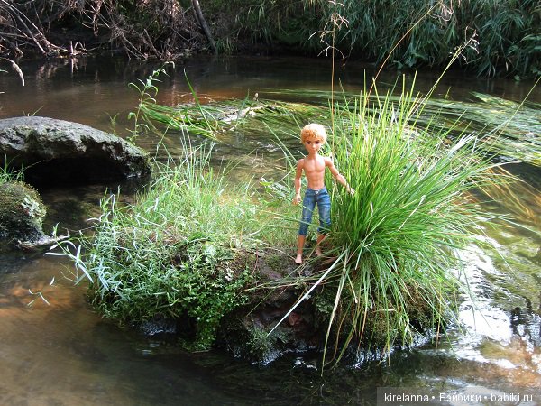 Байки домового. Папоротниковый лес - часть 3 (фото 8)