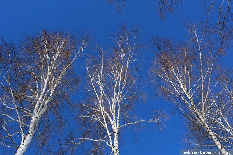 Я вас тоже всех люблю | Бэйбики Я вас тоже всех люблю — Болталка и разговоры обо всем: жизнь