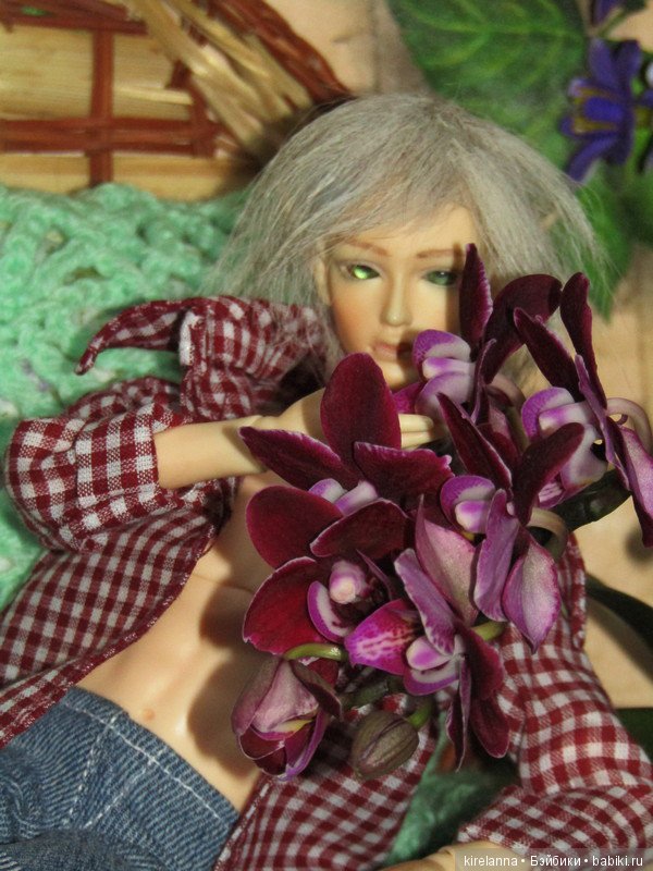 Простой фейский парень — Куклы Soom (Сум): BJD (БЖД)