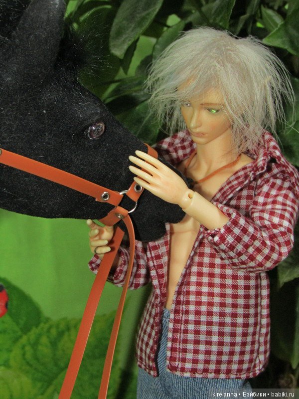 Простой фейский парень — Куклы Soom (Сум): BJD (БЖД) (фото 4)