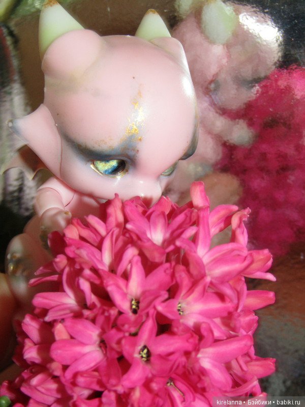 Гиацинтовое настроение. Часть 1 - просто фото (фото 6)