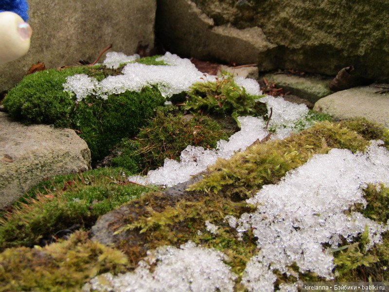 Подснежное — Болталка и разговоры обо всем: жизнь (фото 6)