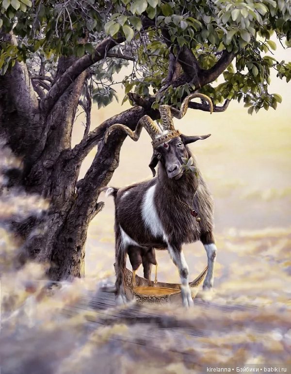 Город, которого нет на карте. Хеймдалль в Йотунхейме, часть 1