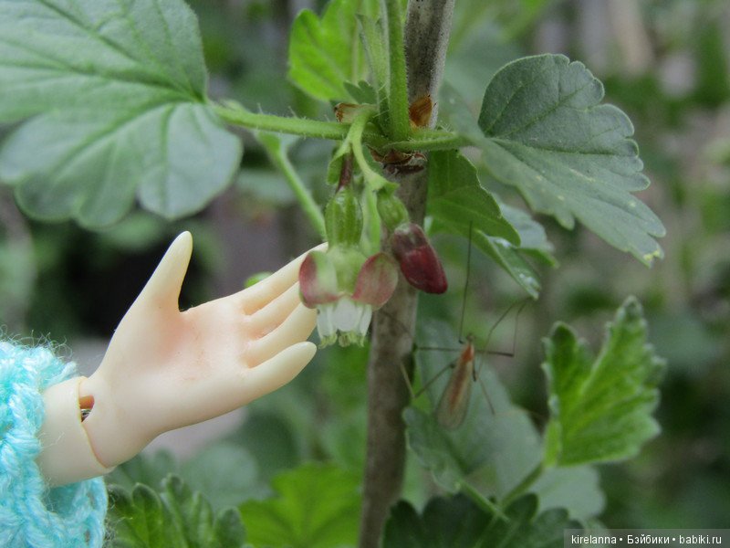 Просто весна. Просто фея — Куклы Soom (Сум): BJD (БЖД) (фото 7)
