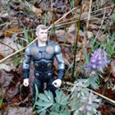 Весна к востоку от Асгарда