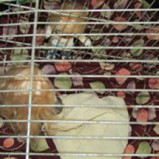 Город, которого нет на карте. В плену у Королевы троллей