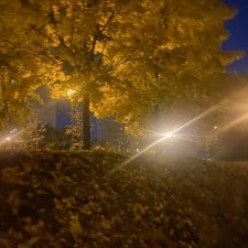 Родительская суббота