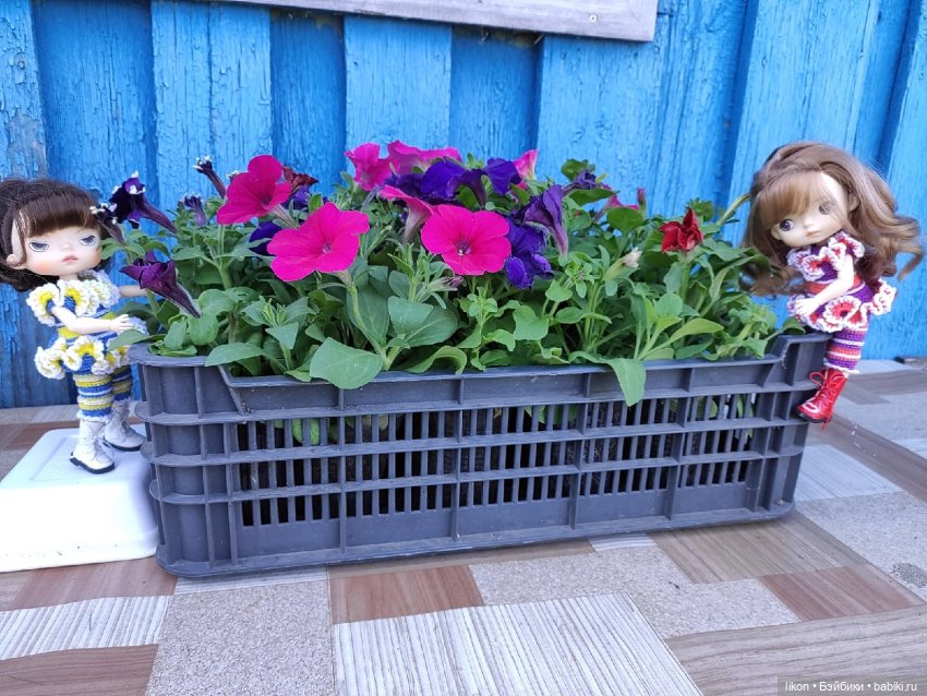 Продолжим прогулку с Кирой и Ликой Часть 3