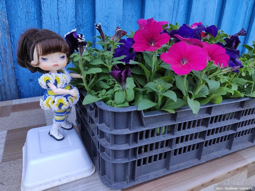 Продолжим прогулку с Кирой и Ликой Часть 3