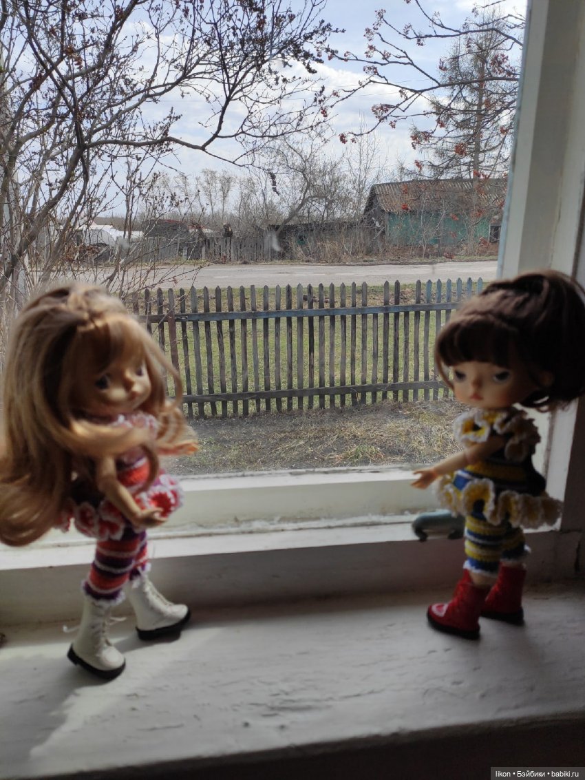 Продолжим прогулку с Кирой и Ликой Часть 3 (фото 6)