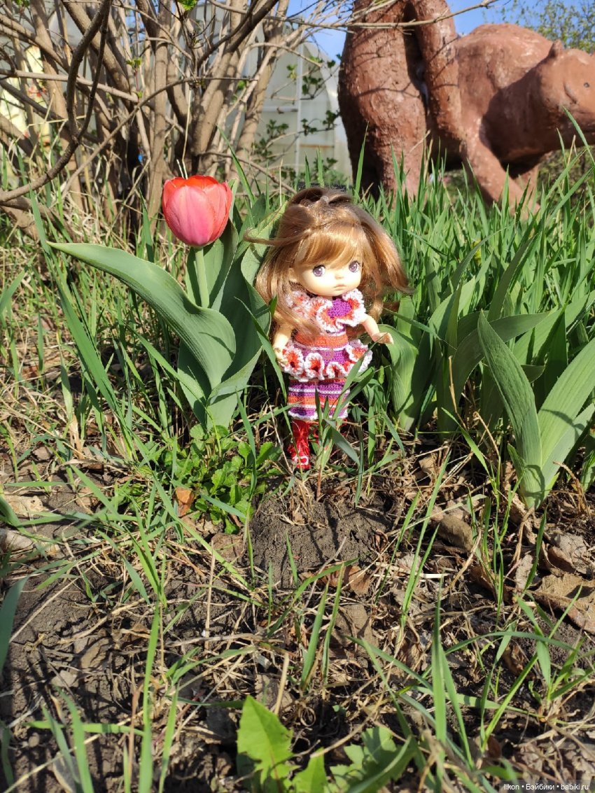 Продолжим прогулку с Кирой и Ликой Часть 3 (фото 9)