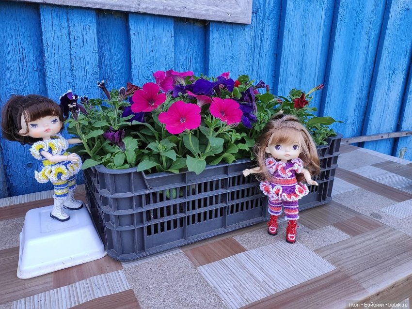 Продолжим прогулку с Кирой и Ликой Часть 3