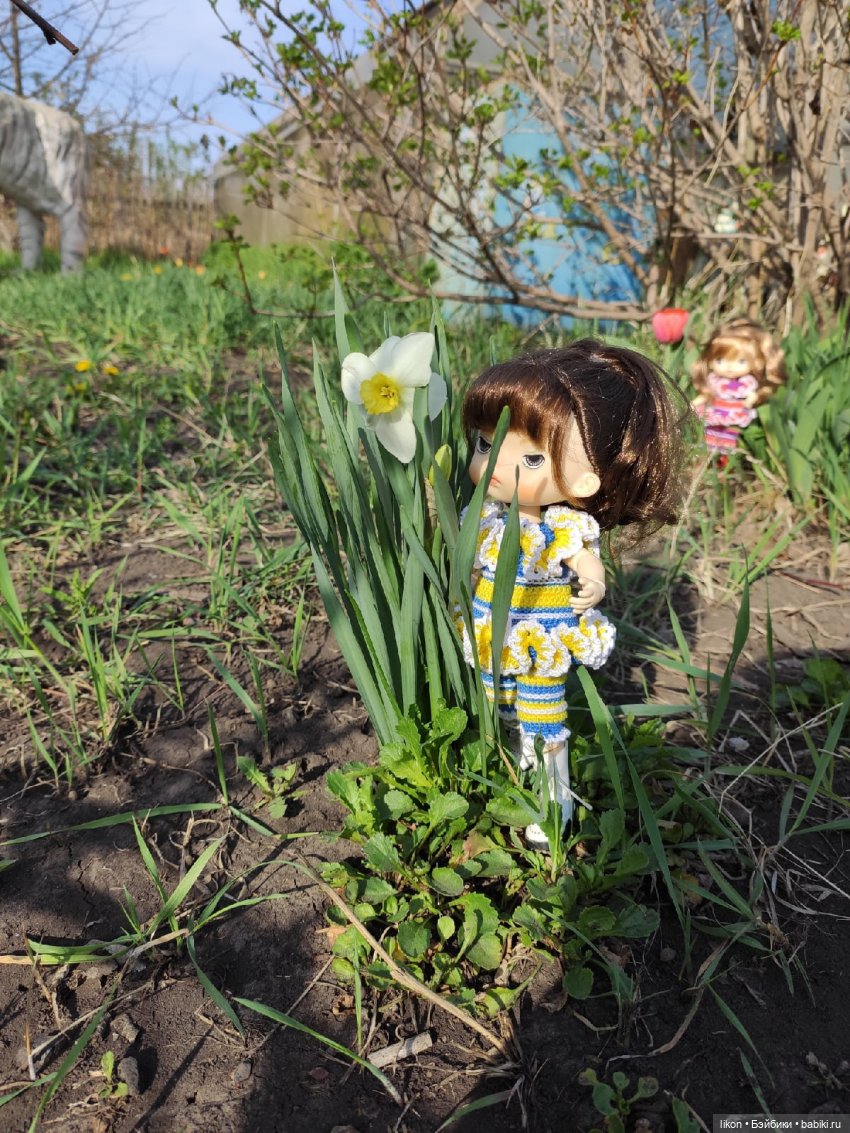 Продолжим прогулку с Кирой и Ликой Часть 3 (фото 10)