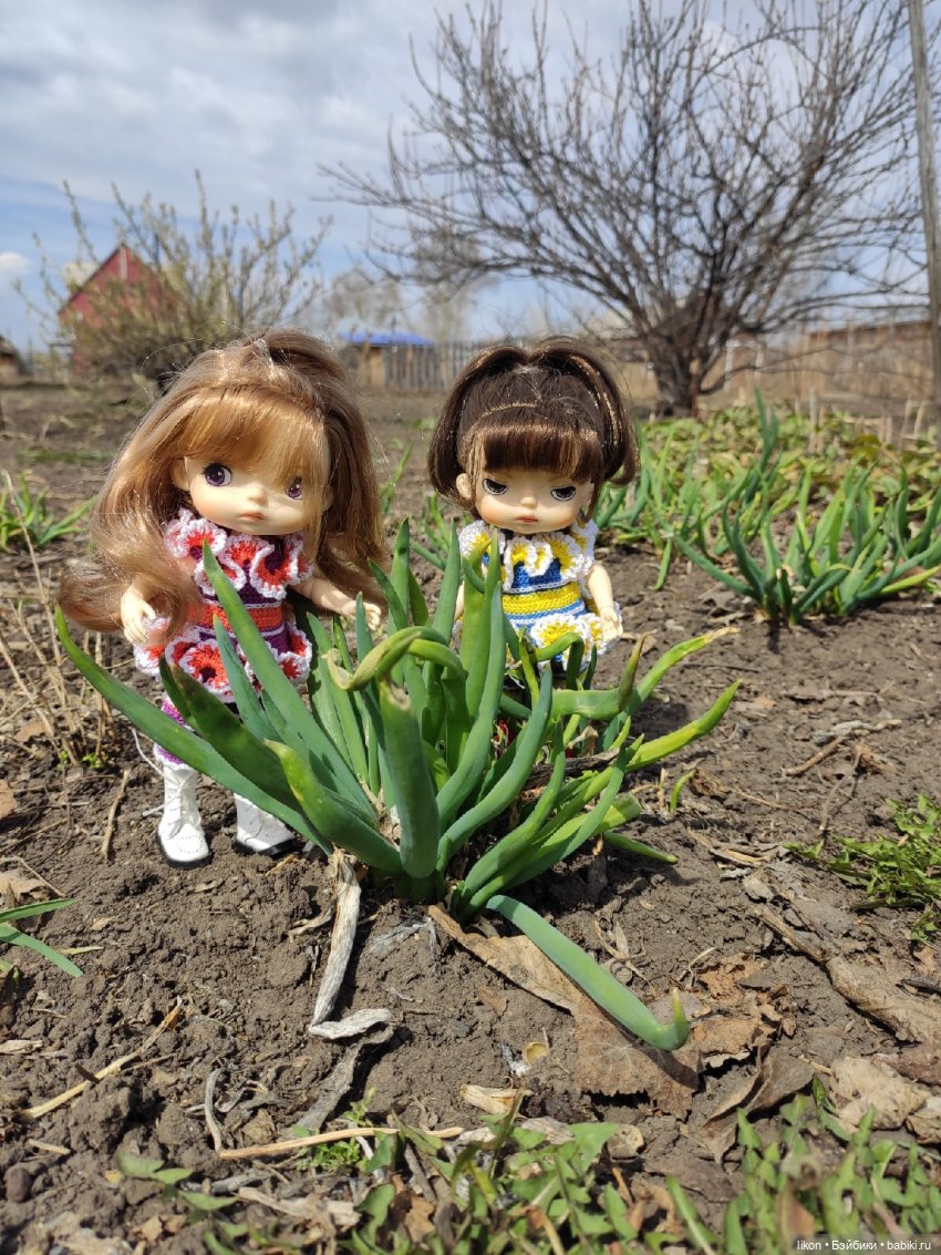 Продолжим прогулку с Кирой и Ликой Часть 3 (фото 3)