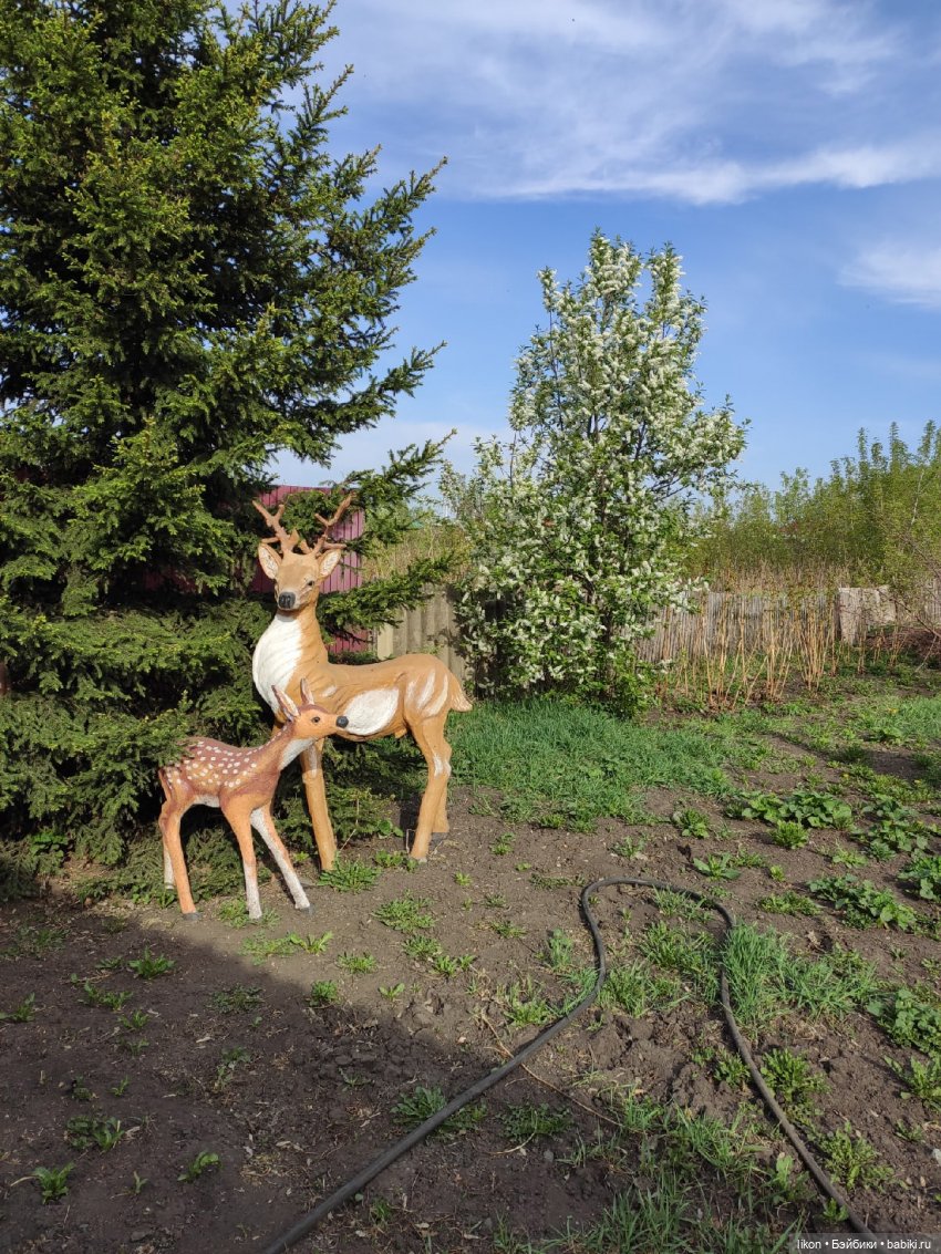 Продолжим прогулку с Кирой и Ликой Часть 3 (фото 8)