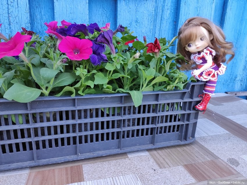 Продолжим прогулку с Кирой и Ликой Часть 3