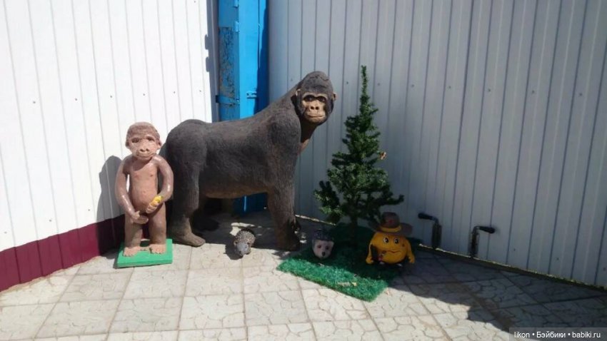 Горилла, не в зоопарке, а в моем саду (фото 3)