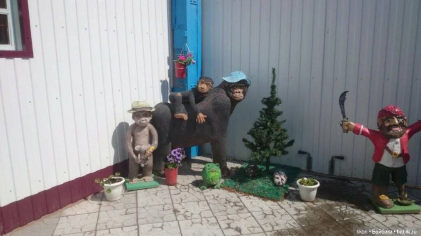 Горилла, не в зоопарке, а в моем саду (фото 5)