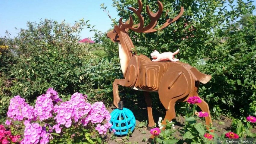 Покажу чем занимается мой муж в деревне (фото 5)