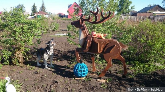 Покажу чем занимается мой муж в деревне (фото 7)