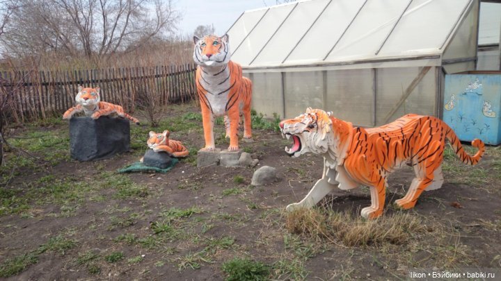 Покажу чем занимается мой муж в деревне (фото 10)