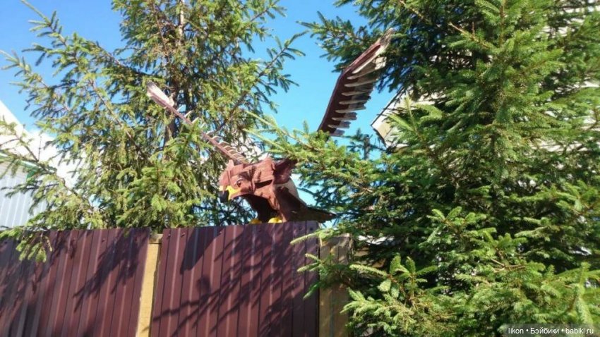 Покажу чем занимается мой муж в деревне (фото 4)