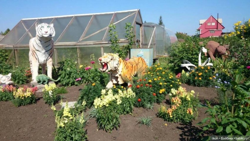 Покажу чем занимается мой муж в деревне
