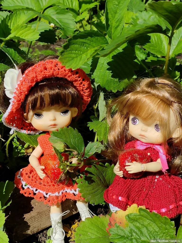 Мои помощники по саду-огороду (фото 4)