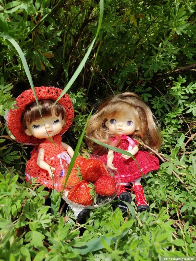 Мои помощники по саду-огороду (фото 9)